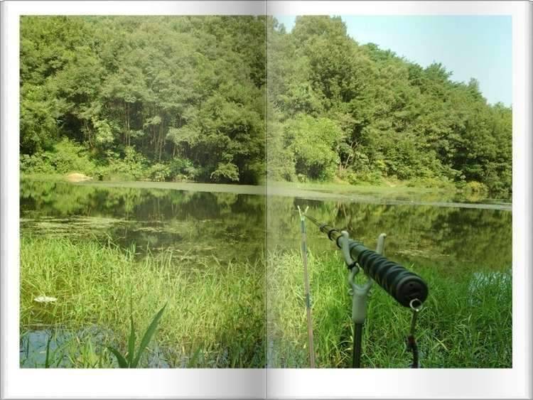 황금 붕어 (조황조행기 - 화보조행기)