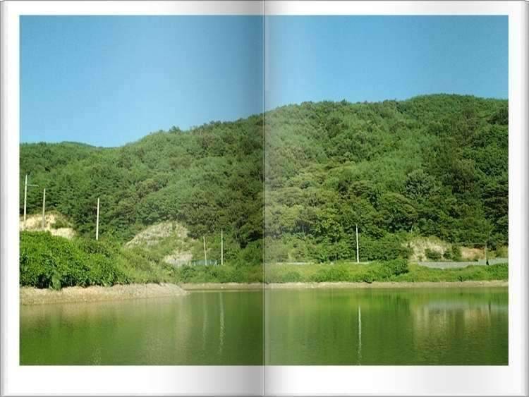 황금 붕어 (조황조행기 - 화보조행기)