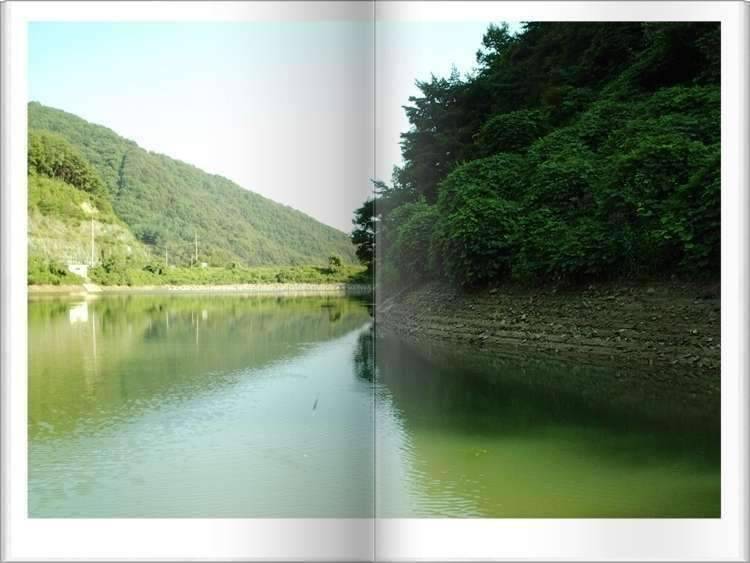 황금 붕어 (조황조행기 - 화보조행기)