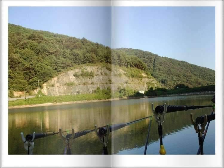 황금 붕어 (조황조행기 - 화보조행기)