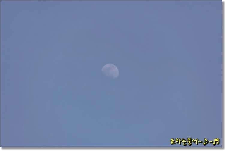 월척 중부회 2009년 시조회 (조황조행기 - 화보조행기)