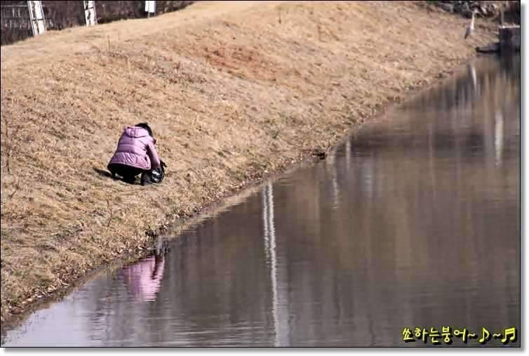 월척 중부회 2009년 시조회 (조황조행기 - 화보조행기)