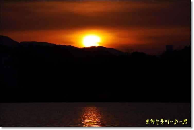 월척 중부회 2009년 시조회 (조황조행기 - 화보조행기)