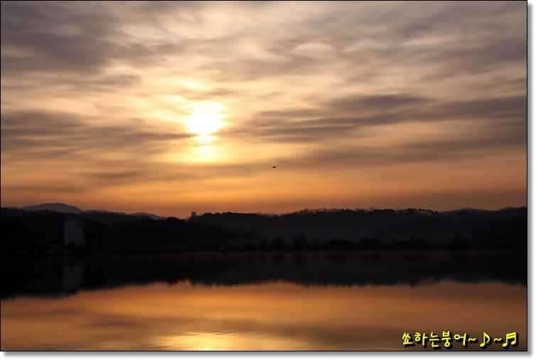 월척 중부회 2009년 시조회 (조황조행기 - 화보조행기)