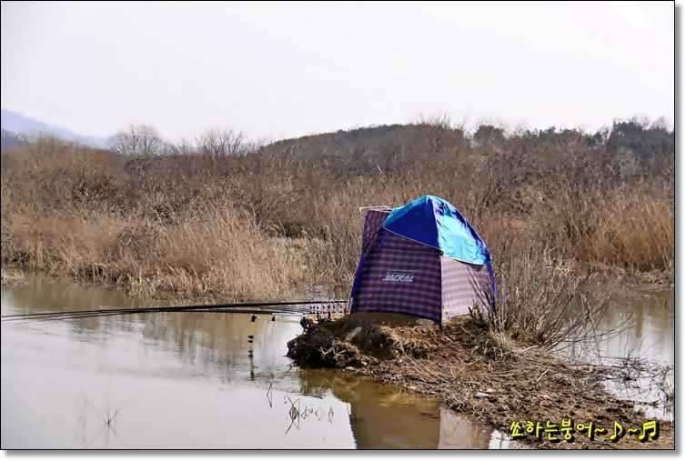 월척 중부회 2009년 시조회 (조황조행기 - 화보조행기)
