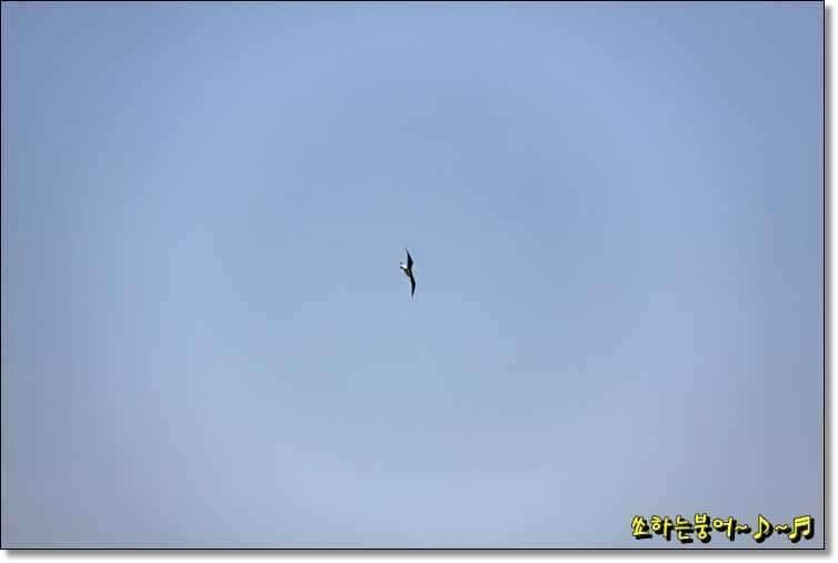 월척 중부회 2009년 시조회 (조황조행기 - 화보조행기)