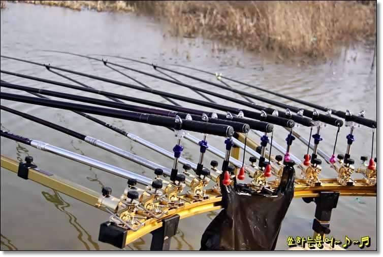 월척 중부회 2009년 시조회 (조황조행기 - 화보조행기)