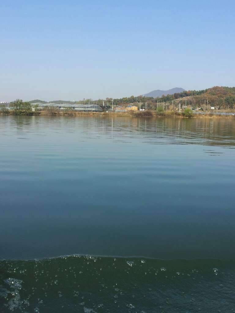 송전지 수상좌대 조행기 (조황조행기 - 화보조행기)