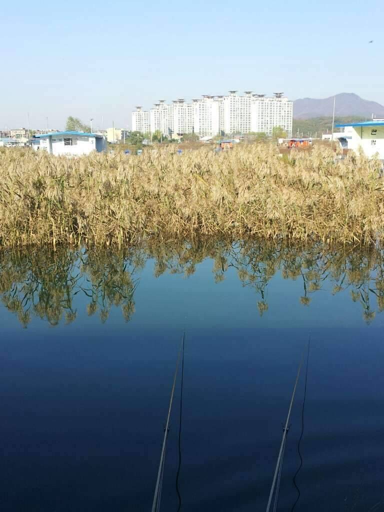 송전지 수상좌대 조행기 (조황조행기 - 화보조행기)