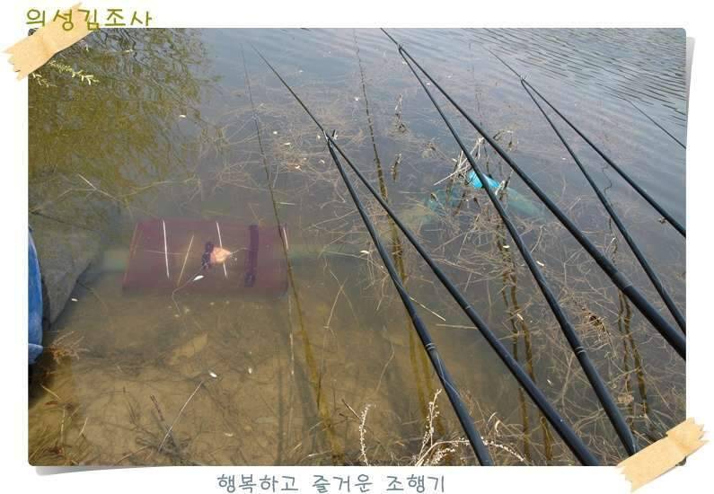 구미 수인조우회 정출 후기 (조황조행기 - 화보조행기)