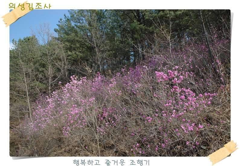 구미 수인조우회 정출 후기 (조황조행기 - 화보조행기)