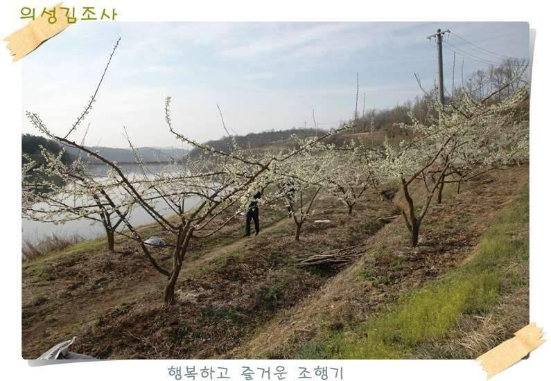 구미 수인조우회 정출 후기 (조황조행기 - 화보조행기)