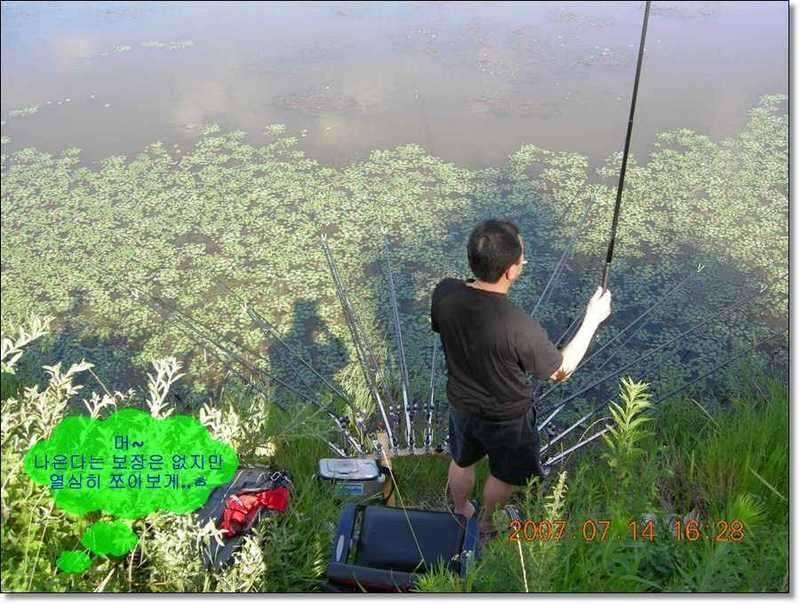 네잎 클로바 대박 예천 무동지 연화지 (조황조행기 - 화보조행기)