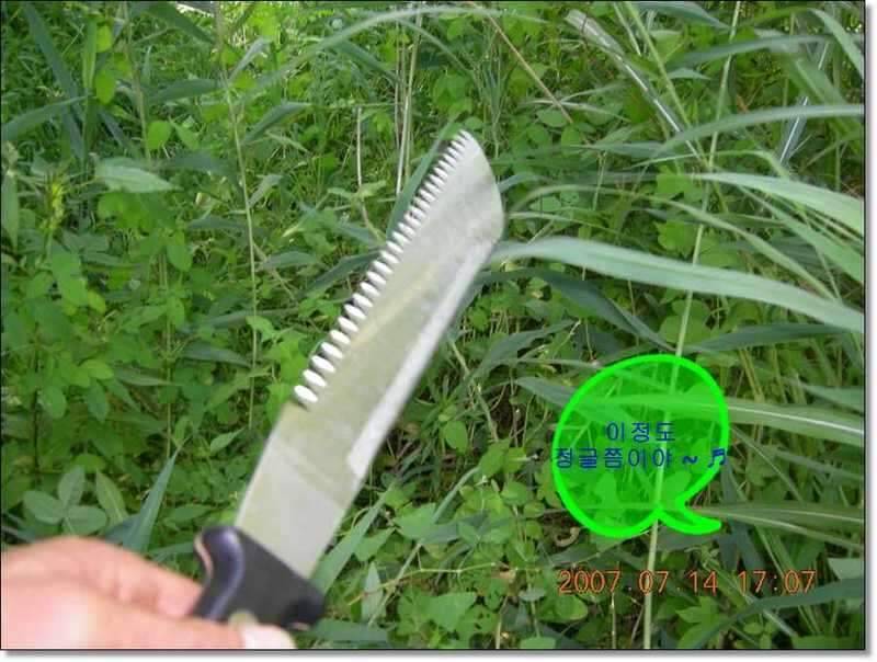 네잎 클로바 대박 예천 무동지 연화지 (조황조행기 - 화보조행기)