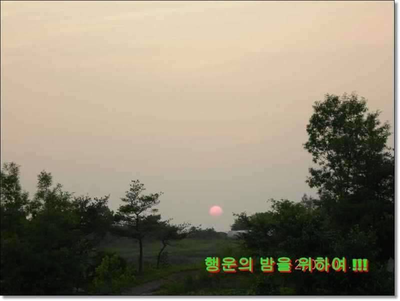 네잎 클로바 대박 예천 무동지 연화지 (조황조행기 - 화보조행기)