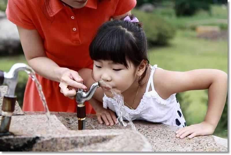 또철이아빠 낚시와소풍 (조황조행기 - 화보조행기)