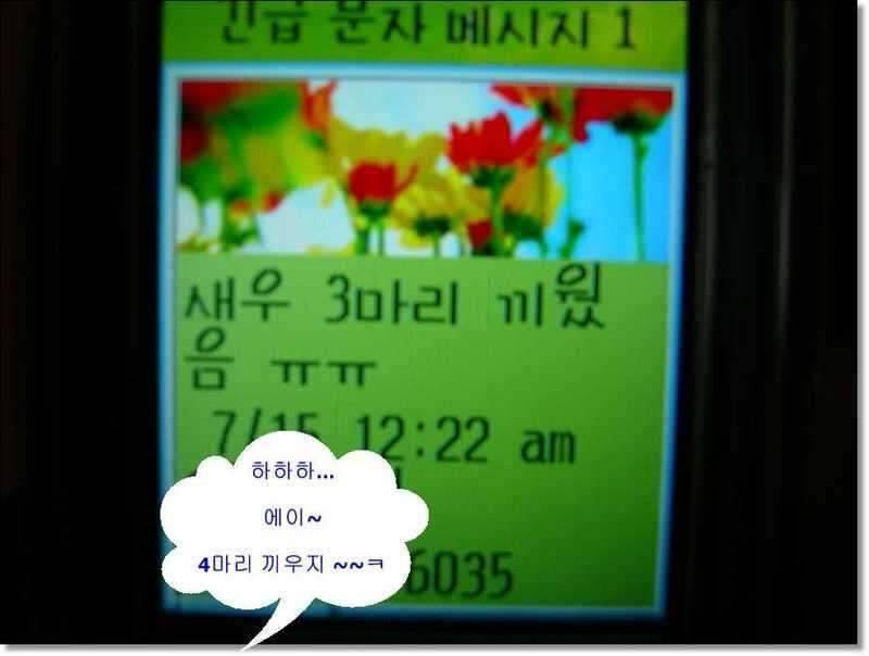 네잎 클로바 대박 예천 무동지 연화지 (조황조행기 - 화보조행기)