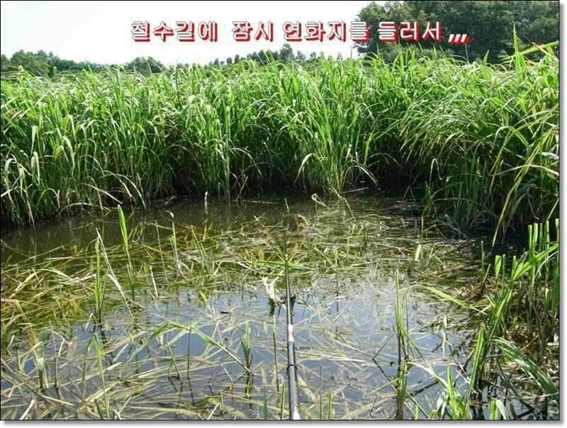 네잎 클로바 대박 예천 무동지 연화지 (조황조행기 - 화보조행기)