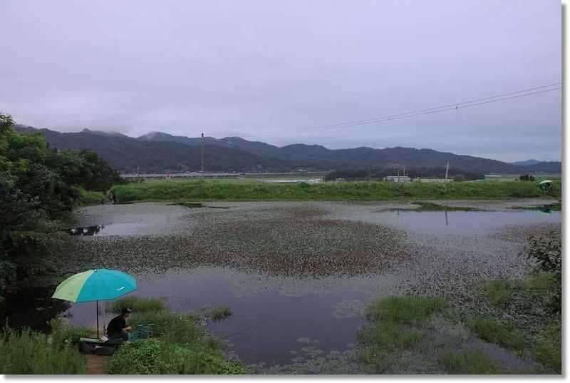 또철이아빠 낚시와소풍 (조황조행기 - 화보조행기)