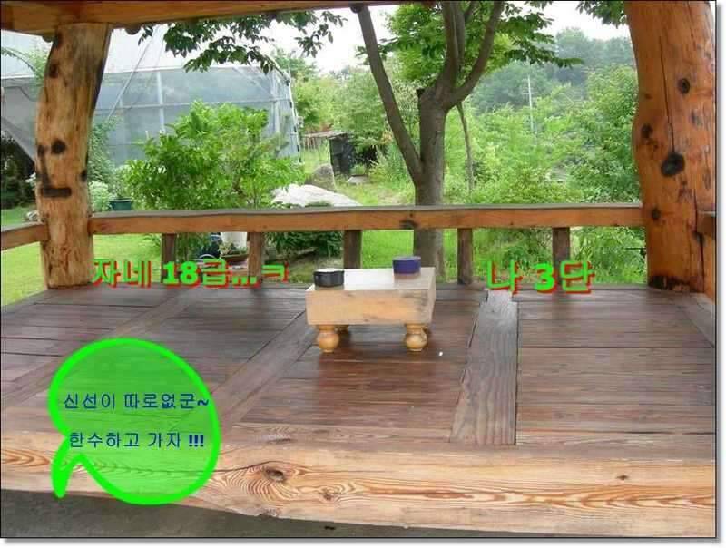 네잎 클로바 대박 예천 무동지 연화지 (조황조행기 - 화보조행기)