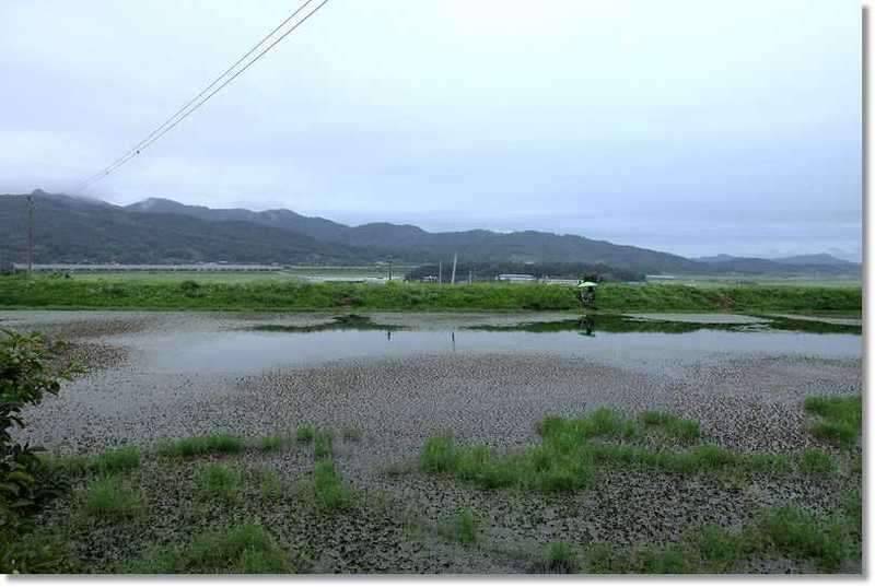 또철이아빠 낚시와소풍 (조황조행기 - 화보조행기)