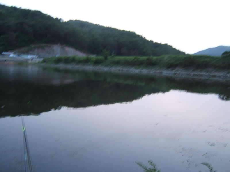 천생산 검성지 붕어 (조황조행기 - 화보조행기)