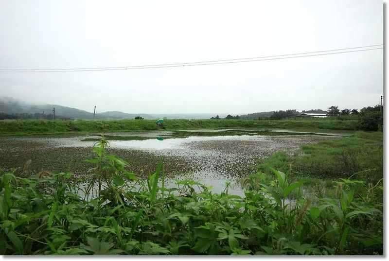 또철이아빠 낚시와소풍 (조황조행기 - 화보조행기)