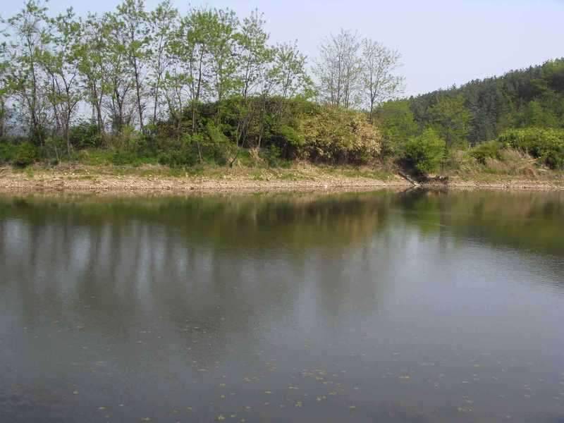 경산권 산속 계곡지 탐방1탄 (조황조행기 - 화보조행기)