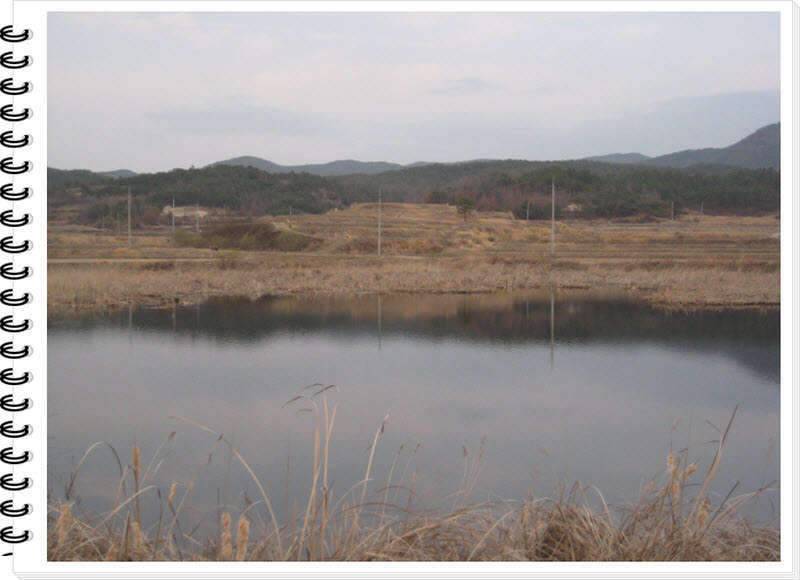 각하의 낚여행22 안계 산정지 만남2 (조황조행기 - 화보조행기)