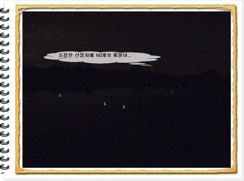 각하의 낚여행22 안계 산정지 만남2 (조황조행기 - 화보조행기)