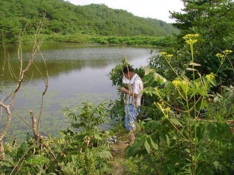 2080조우회 8월 정출덥네요 (조황조행기 - 화보조행기)