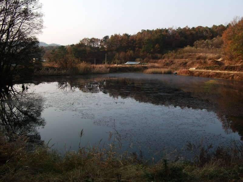 초보떡밥꾼 네번째 일탈 (조황조행기 - 화보조행기)