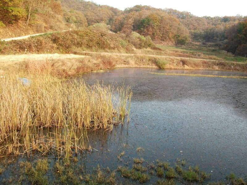 초보떡밥꾼 네번째 일탈 (조황조행기 - 화보조행기)