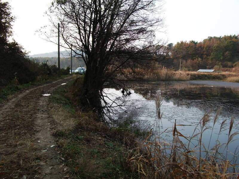 초보떡밥꾼 네번째 일탈 (조황조행기 - 화보조행기)