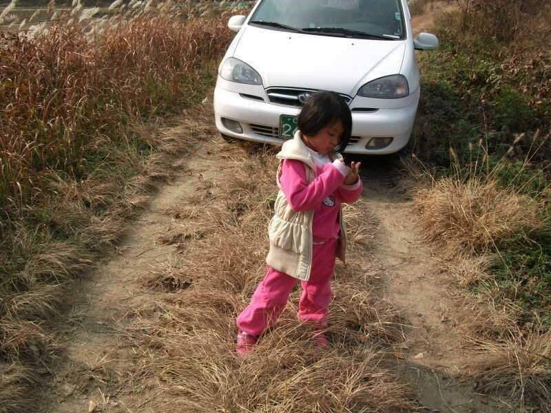 초보떡밥꾼 네번째 일탈 (조황조행기 - 화보조행기)