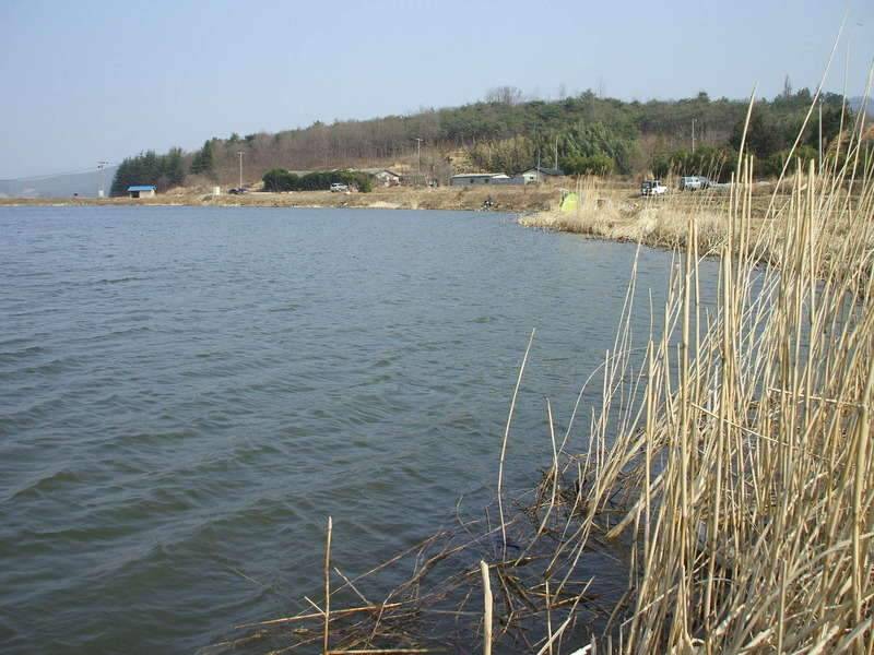 바람에 고생 하다 (조황조행기 - 화보조행기)