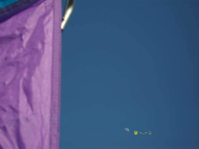 2009년을 마무리하며 (조황조행기 - 화보조행기)