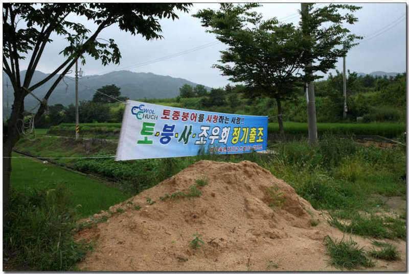 상주소류지여행 일곱번째와 눈부시게 아름다운 황령지 (조황조행기 - 화보조행기)
