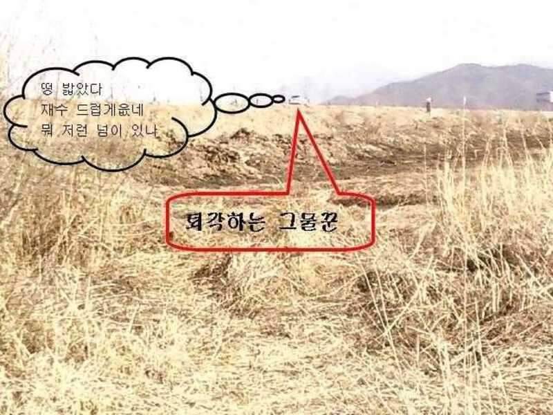 붕애의 세번째 나들이 (조황조행기 - 화보조행기)
