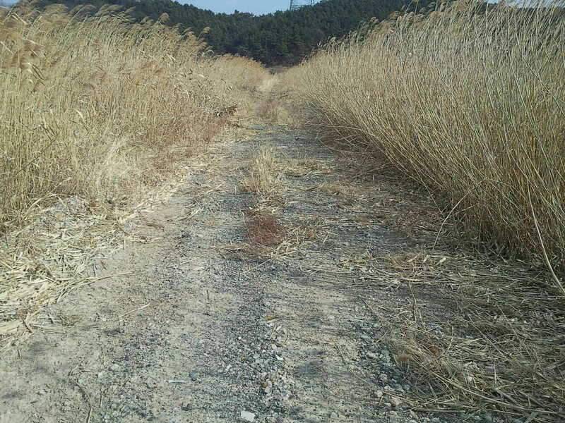 신묘년 첫 물낚시 (조황조행기 - 화보조행기)