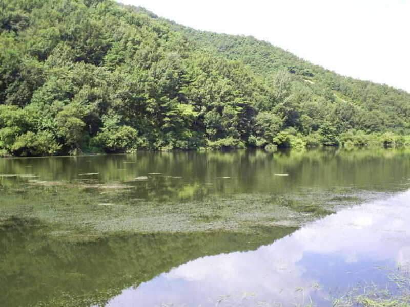 낮 낚시 (조황조행기 - 화보조행기)