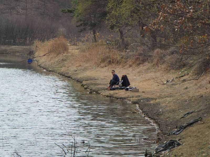 이리저리 왔다갔다 (조황조행기 - 화보조행기)
