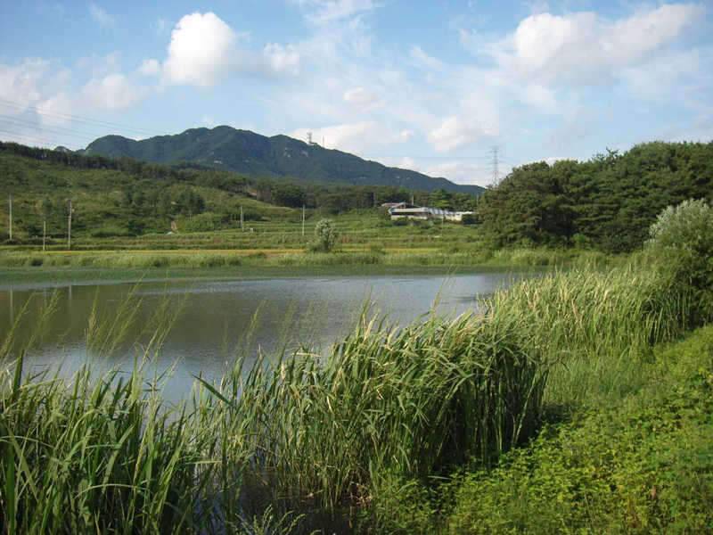 벌초와 낚시 (조황조행기 - 화보조행기)