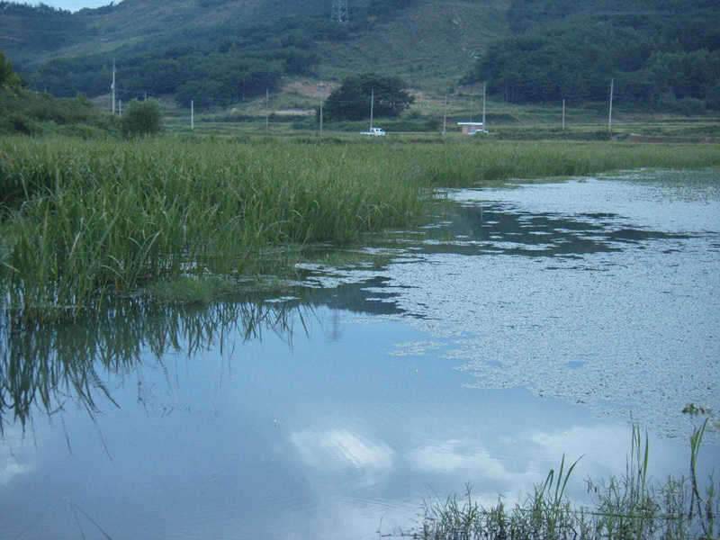 벌초와 낚시 (조황조행기 - 화보조행기)