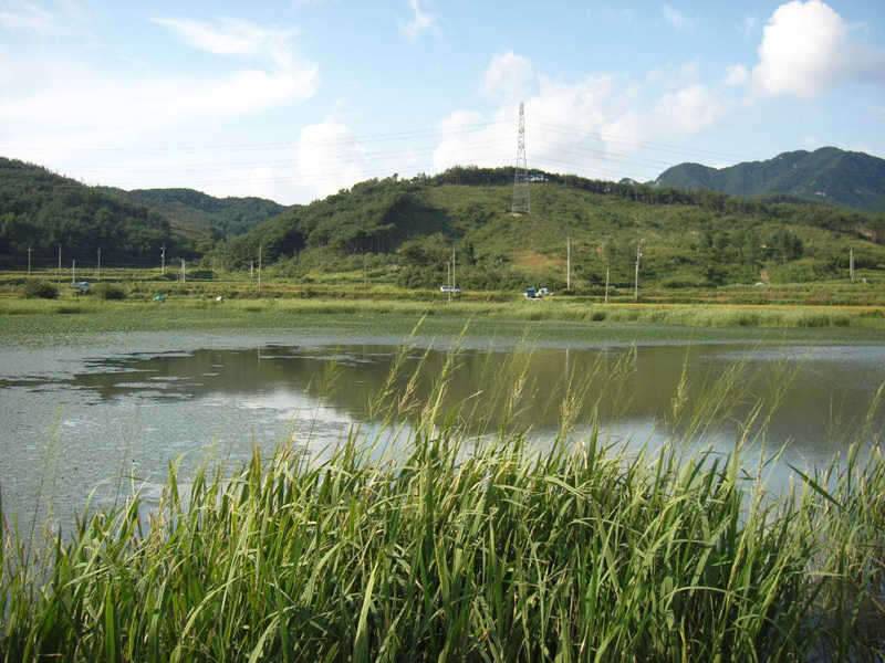 벌초와 낚시 (조황조행기 - 화보조행기)