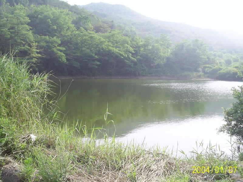 6월23일 군위 효령면 거매2리윗못 (조황조행기 - 화보조행기)