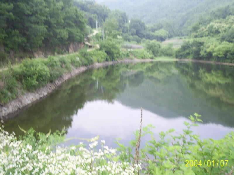 6월23일 군위 효령면 거매2리윗못 (조황조행기 - 화보조행기)