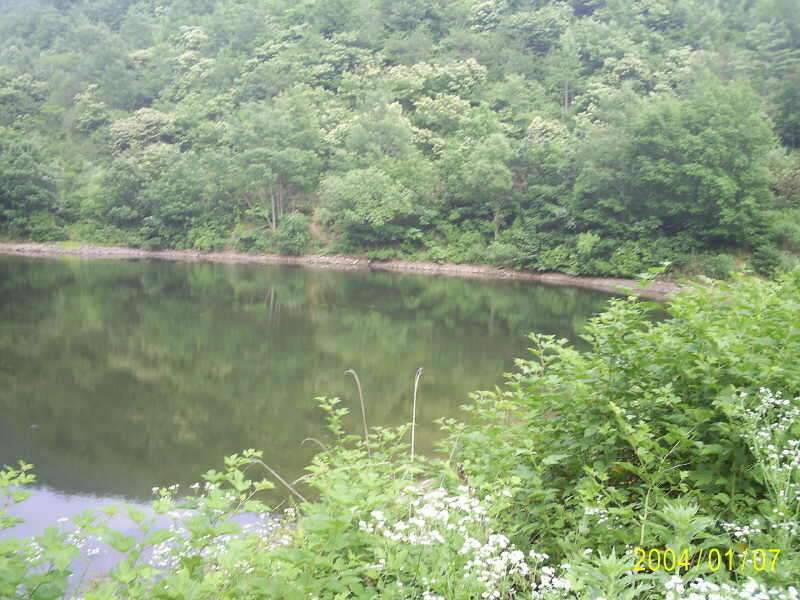 6월23일 군위 효령면 거매2리윗못 (조황조행기 - 화보조행기)