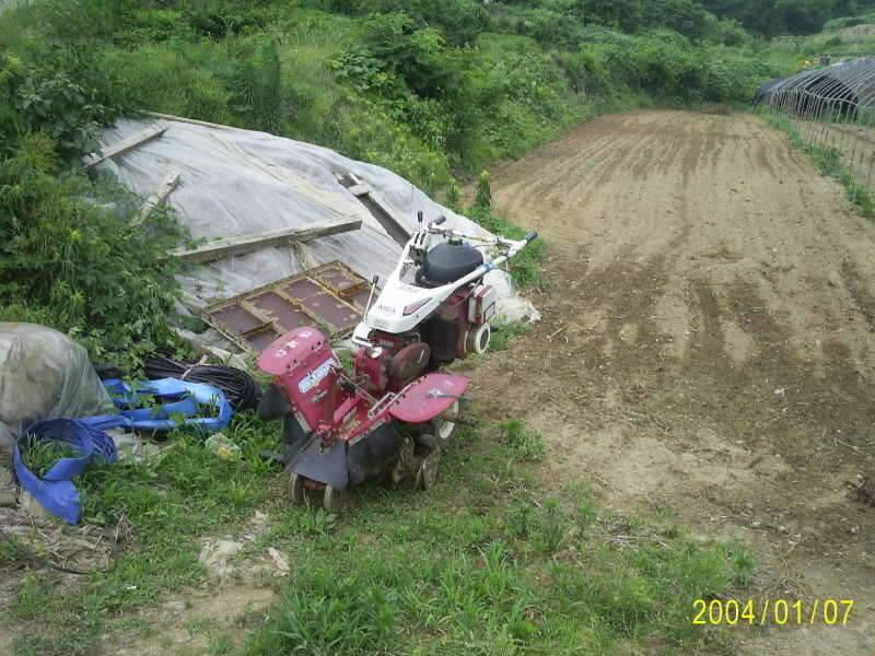 6월23일 군위 효령면 거매2리윗못 (조황조행기 - 화보조행기)