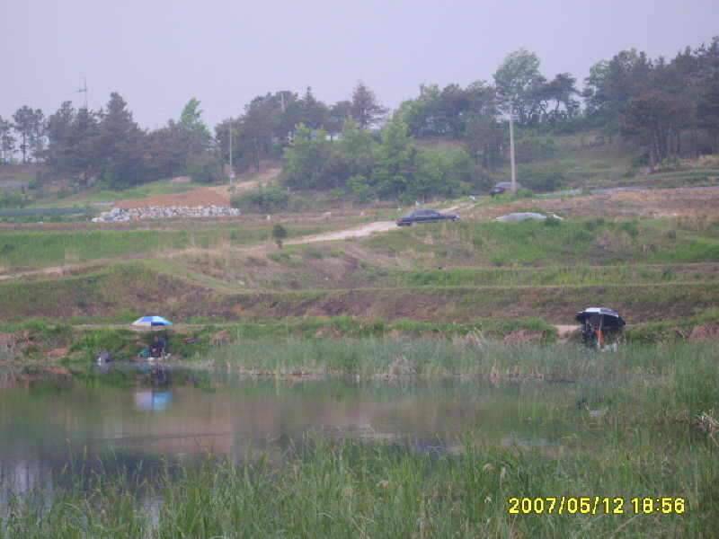 동반의 낚여정 의성 산정지에서 (조황조행기 - 화보조행기)